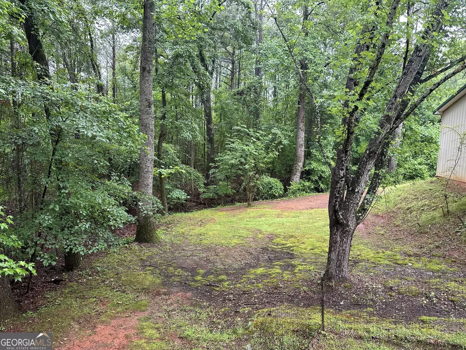  245 Chalybeate Springs Rd #2.51 ACRES, Woodland, GA 31836 photo 55