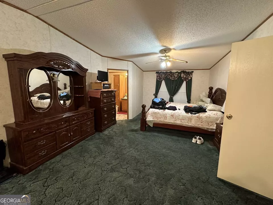  245 Chalybeate Springs Rd #2.51 ACRES, Woodland, GA 31836 photo 33