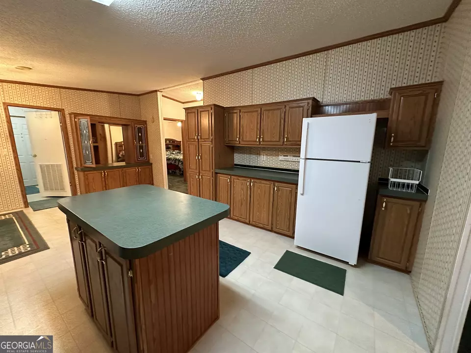  245 Chalybeate Springs Rd #2.51 ACRES, Woodland, GA 31836 photo 9