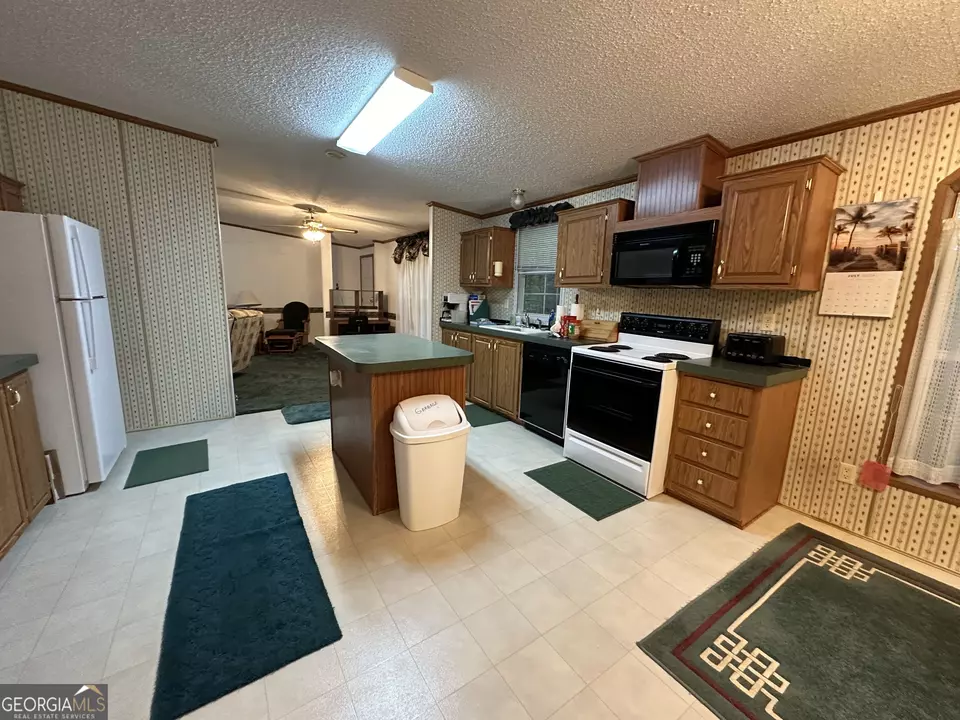  245 Chalybeate Springs Rd #2.51 ACRES, Woodland, GA 31836 photo 11