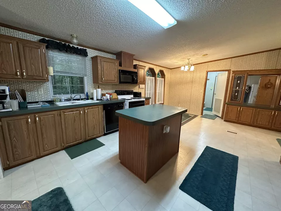  245 Chalybeate Springs Rd #2.51 ACRES, Woodland, GA 31836 photo 15