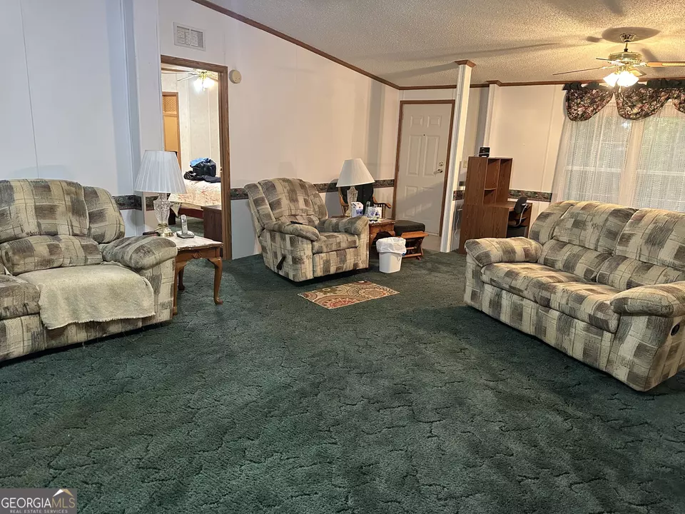  245 Chalybeate Springs Rd #2.51 ACRES, Woodland, GA 31836 photo 7