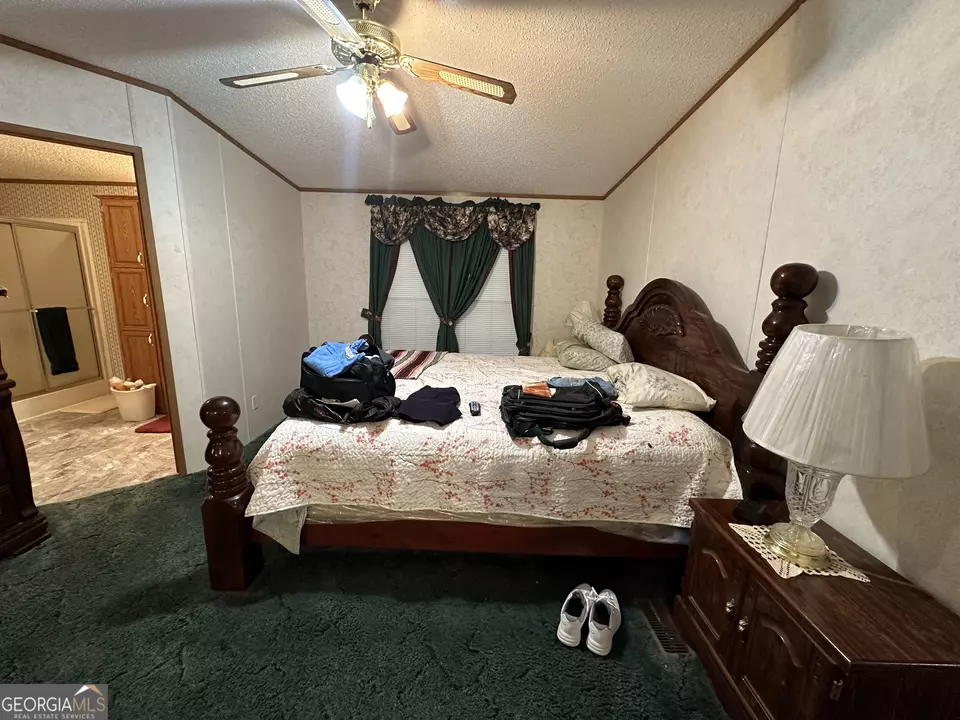  245 Chalybeate Springs Rd #2.51 ACRES, Woodland, GA 31836 photo 31