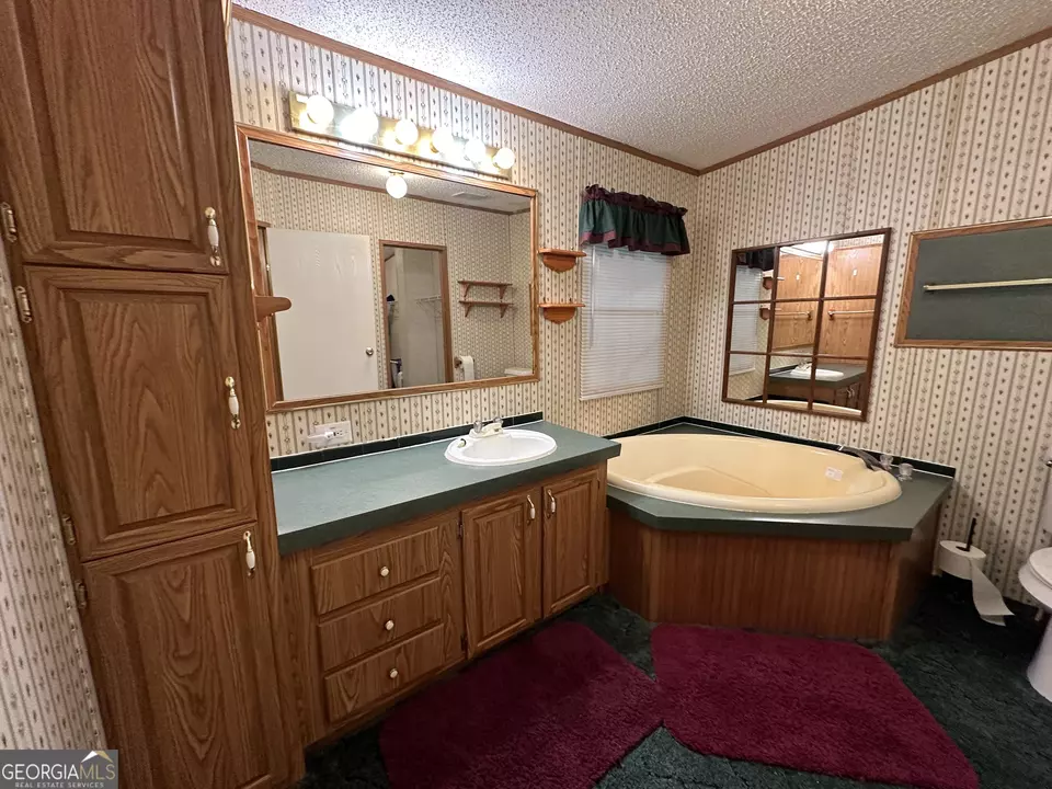  245 Chalybeate Springs Rd #2.51 ACRES, Woodland, GA 31836 photo 21