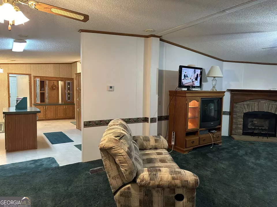  245 Chalybeate Springs Rd #2.51 ACRES, Woodland, GA 31836 photo 5