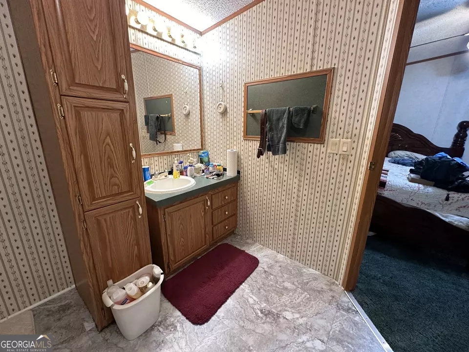  245 Chalybeate Springs Rd #2.51 ACRES, Woodland, GA 31836 photo 20