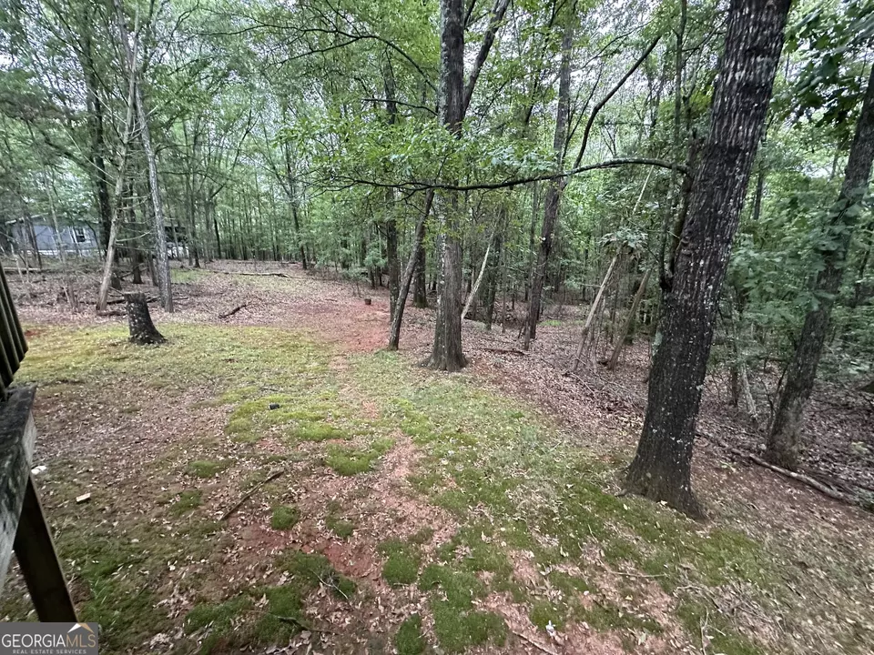  245 Chalybeate Springs Rd #2.51 ACRES, Woodland, GA 31836 photo 54