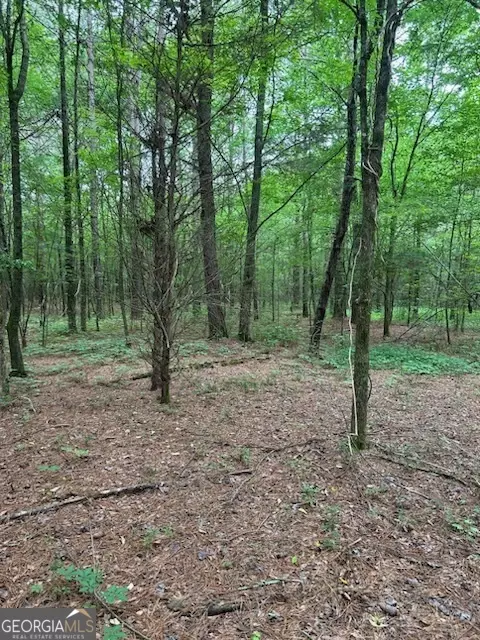 0 Fish Creek Rd, Cedartown, GA 30125