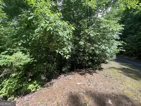 7124 Tantrough Rd, Hiawassee, GA 30546