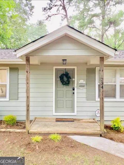 234 Malier Rd, Hampton, GA 30228 photo 2