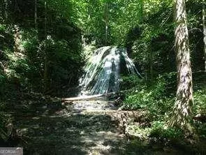 860 Cloudland Trce, Chickamauga, GA 30707