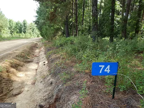 74 Mt Pleasant Church Rd, Pineview, GA 31071