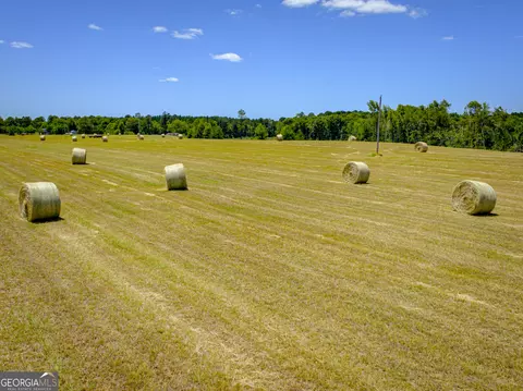 0 Regan Rd #TRACT 1, Millen, GA 30442