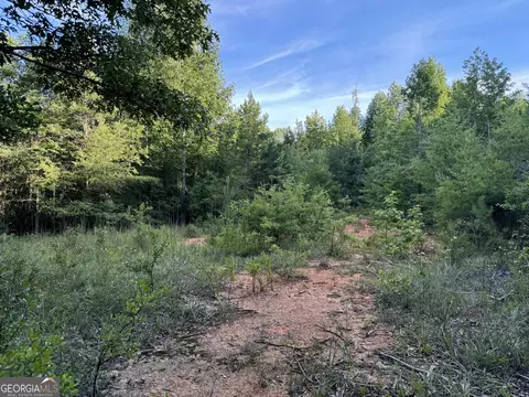 0 Hicks Rd, Toccoa, GA 30577 photo 21