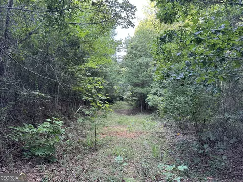 0 Hicks Rd, Toccoa, GA 30577 photo 27