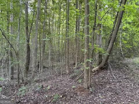 0 Hicks Rd, Toccoa, GA 30577 photo 22