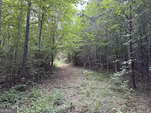 0 Hicks Rd, Toccoa, GA 30577 photo 6