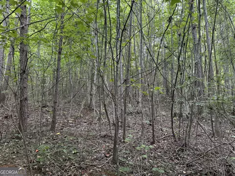 0 Hicks Rd, Toccoa, GA 30577 photo 26