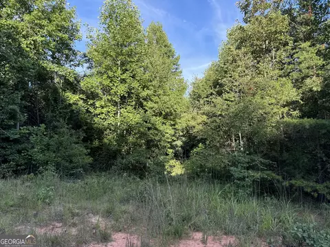 0 Hicks Rd, Toccoa, GA 30577 photo 23