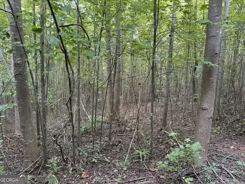 0 Hicks Rd, Toccoa, GA 30577 photo 18
