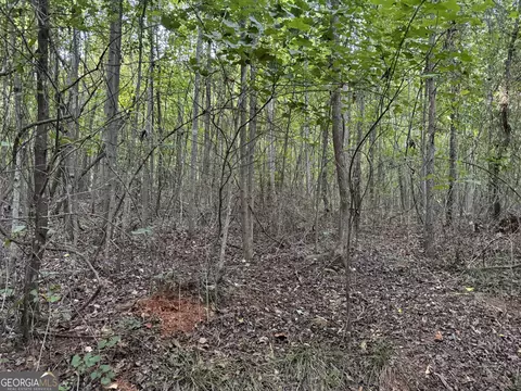 0 Hicks Rd, Toccoa, GA 30577 photo 25