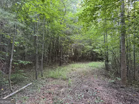 0 Hicks Rd, Toccoa, GA 30577 photo 19