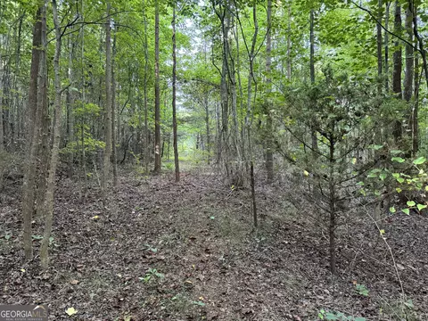0 Hicks Rd, Toccoa, GA 30577 photo 12