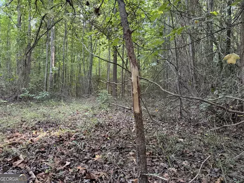 0 Hicks Rd, Toccoa, GA 30577 photo 3