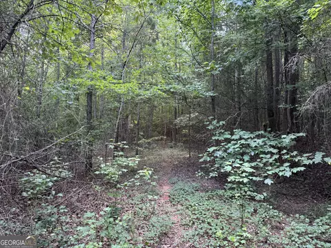 0 Hicks Rd, Toccoa, GA 30577 photo 24