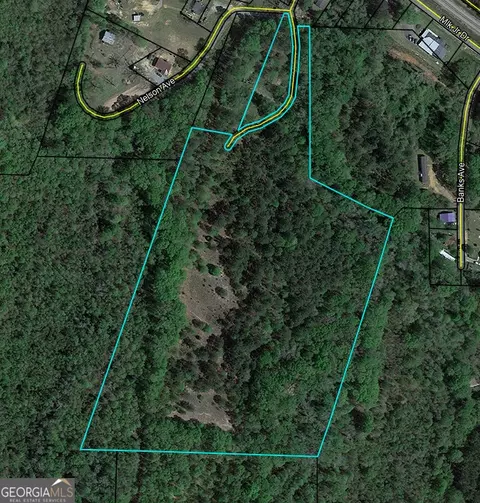 103 Smith Ln, Ideal, GA 31041