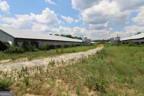 223 Loblolly Rd, Oglethorpe, GA 31068 photo 10