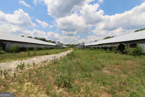 223 Loblolly Rd, Oglethorpe, GA 31068 photo 9