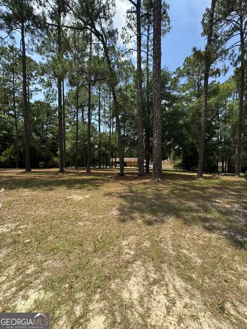 0 Little John Dr, Reidsville, GA 30453