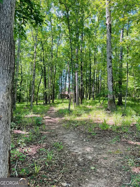 203 Kate Freeman Rd, Lagrange, GA 30240 photo 28