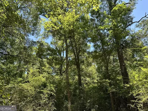 01 Case Rd, Slocumb, AL 36375 photo 14