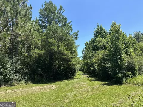 01 Case Rd, Slocumb, AL 36375 photo 7