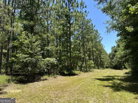 01 Case Rd, Slocumb, AL 36375 photo 9