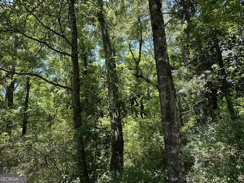 01 Case Rd, Slocumb, AL 36375 photo 13