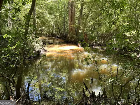 01 Case Rd, Slocumb, AL 36375 photo 12