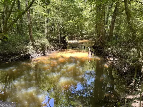 01 Case Rd, Slocumb, AL 36375 photo 8
