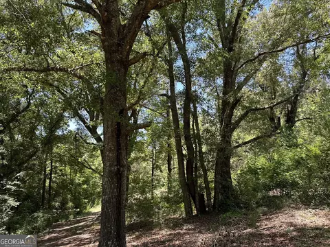 01 Case Rd, Slocumb, AL 36375 photo 10