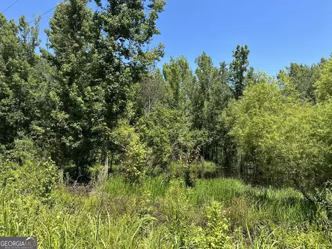 01 Case Rd, Slocumb, AL 36375 photo 6