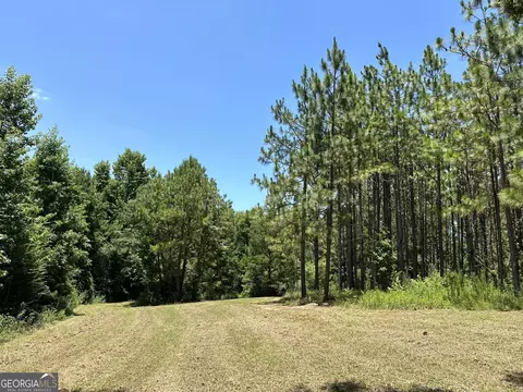 01 Case Rd, Slocumb, AL 36375 photo 11