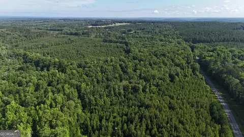 0 Bevis Rd, Franklin, GA 30217 photo 19