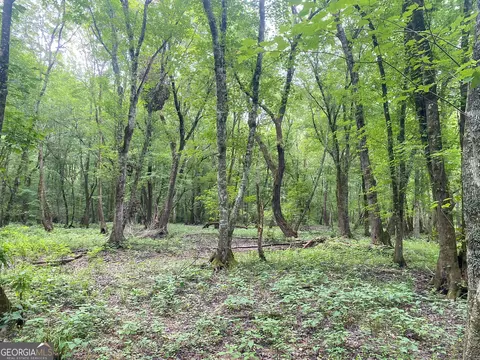 0 Bevis Rd, Franklin, GA 30217 photo 38