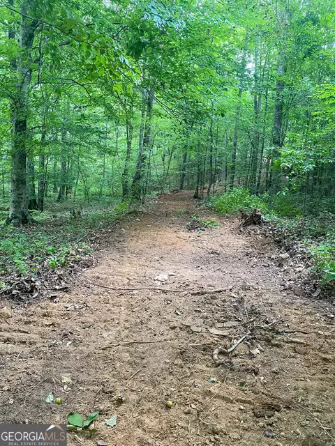 0 Bevis Rd, Franklin, GA 30217 photo 34