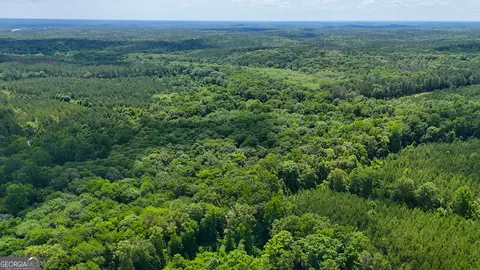 0 Bevis Rd, Franklin, GA 30217 photo 29