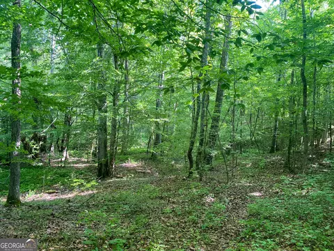0 Bevis Rd, Franklin, GA 30217 photo 25