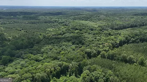 0 Bevis Rd, Franklin, GA 30217 photo 39