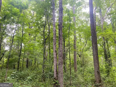 0 Bevis Rd, Franklin, GA 30217 photo 35